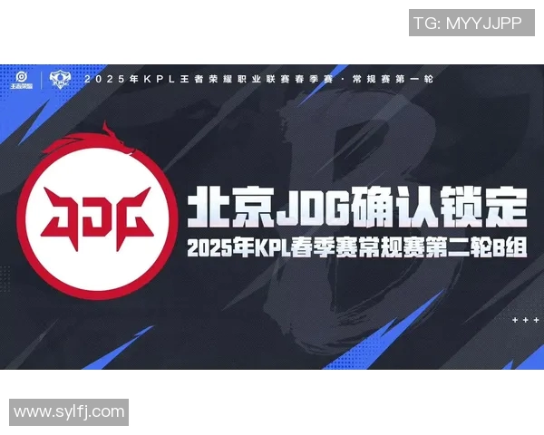 赛后复盘：深入剖析JDG与WE对决中的战术与策略应用